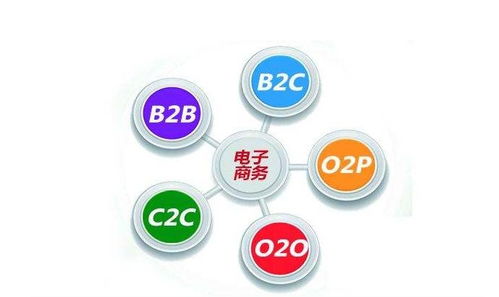 客服对应的专业电子商务