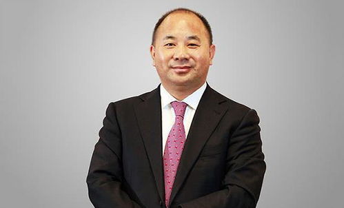 副校长一跃成为陕西首富，财富之谜揭秘