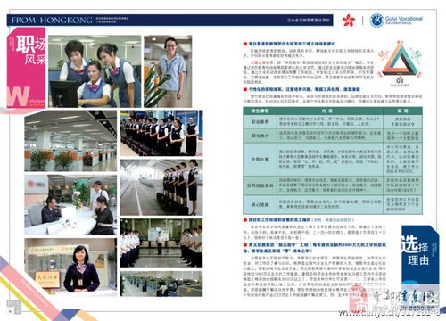银行会招电子商务专业吗