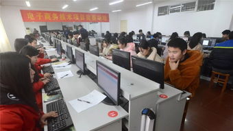 中职电子商务专业可以吗